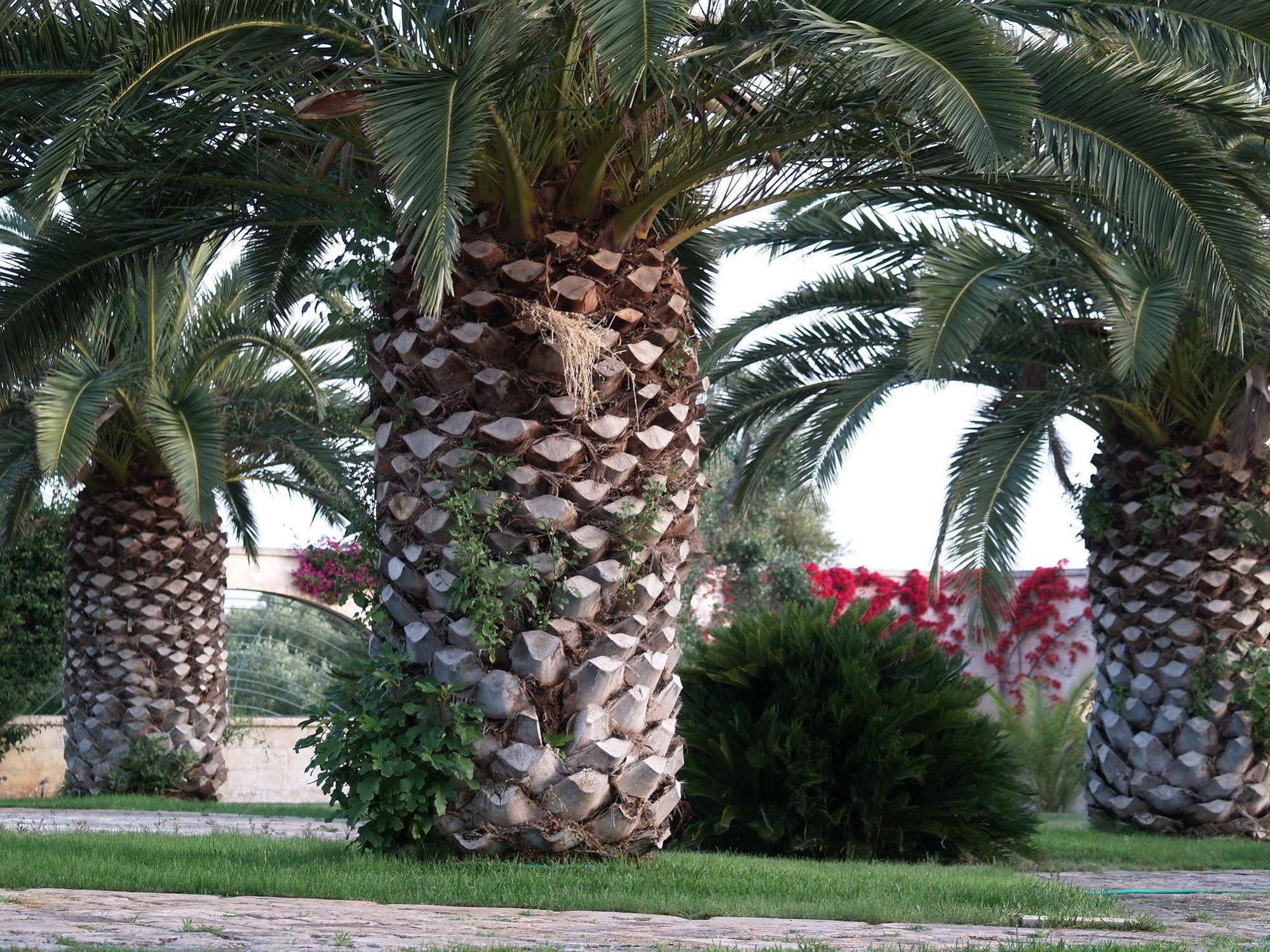 Hotel Masseria Tutosa Ostuni Eksteriør bilde